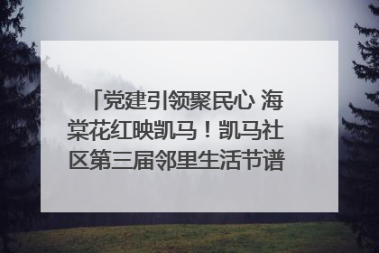 党建引领聚民心 海棠花红映凯马！凯马社区第三届邻里生活节谱写幸福新篇章
