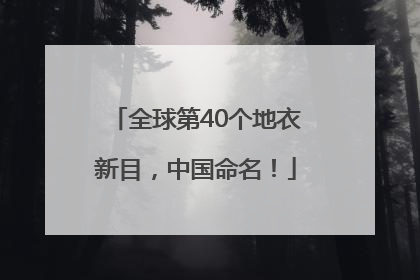 全球第40个地衣新目，中国命名！