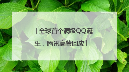 全球首个满级QQ诞生，腾讯高管回应