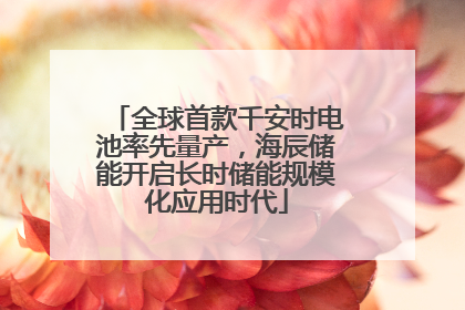 全球首款千安时电池率先量产，海辰储能开启长时储能规模化应用时代