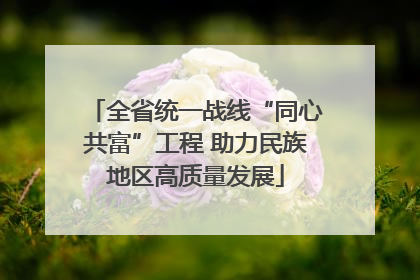 全省统一战线“同心共富”工程 助力民族地区高质量发展