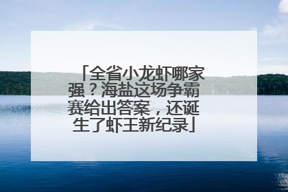 全省小龙虾哪家强？海盐这场争霸赛给出答案，还诞生了虾王新纪录