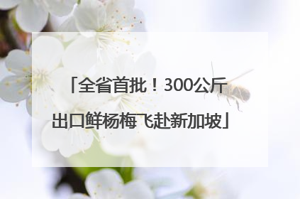 全省首批！300公斤出口鲜杨梅飞赴新加坡
