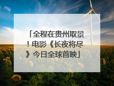 全程在贵州取景！电影《长夜将尽》今日全球首映