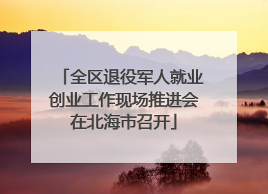 全区退役军人就业创业工作现场推进会在北海市召开