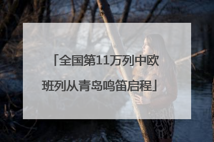 全国第11万列中欧班列从青岛鸣笛启程