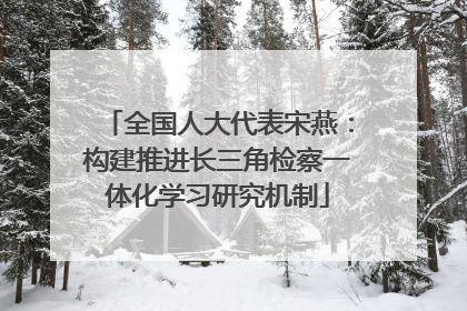 全国人大代表宋燕：构建推进长三角检察一体化学习研究机制