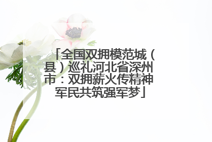 全国双拥模范城（县）巡礼河北省深州市：双拥薪火传精神 军民共筑强军梦