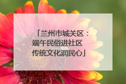 兰州市城关区：端午民俗进社区 传统文化润民心