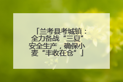 兰考县考城镇：全力备战“三夏”安全生产，确保小麦“丰收在仓”