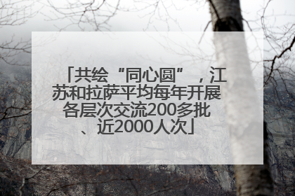 共绘“同心圆”，江苏和拉萨平均每年开展各层次交流200多批、近2000人次