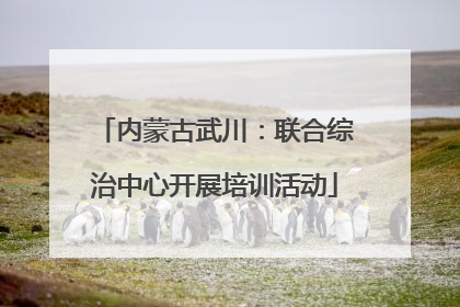 内蒙古武川：联合综治中心开展培训活动