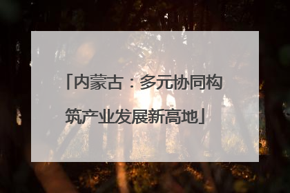 内蒙古：多元协同构筑产业发展新高地