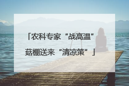 农科专家“战高温” 菇棚送来“清凉策”