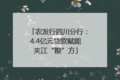 农发行四川分行：4.4亿元贷款赋能夹江“粮”方