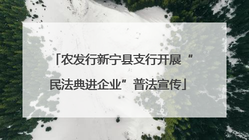 农发行新宁县支行开展“民法典进企业”普法宣传
