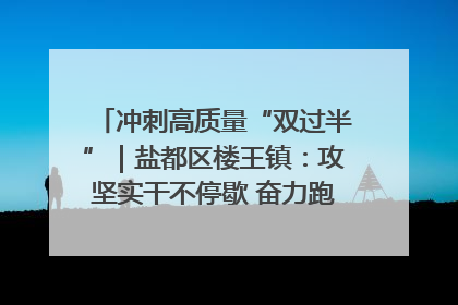 冲刺高质量“双过半”｜盐都区楼王镇：攻坚实干不停歇 奋力跑赢“上半场”