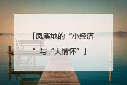 凤溪地的“小经济”与“大情怀”
