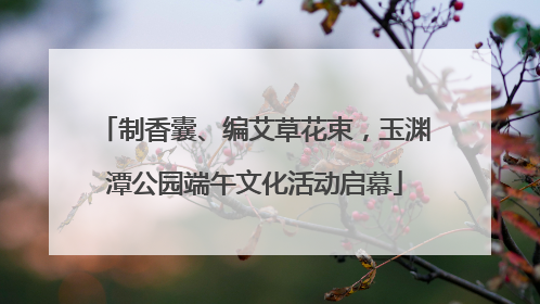 制香囊、编艾草花束，玉渊潭公园端午文化活动启幕