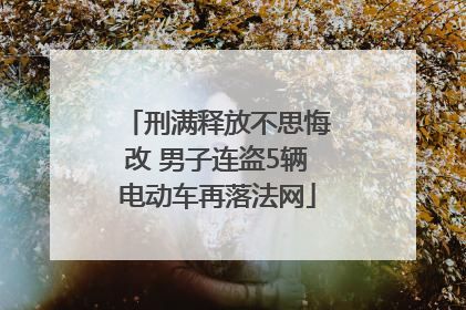 刑满释放不思悔改 男子连盗5辆电动车再落法网