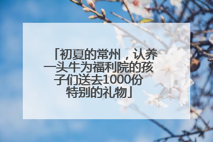 初夏的常州，认养一头牛为福利院的孩子们送去1000份特别的礼物