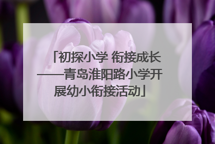 初探小学 衔接成长——青岛淮阳路小学开展幼小衔接活动