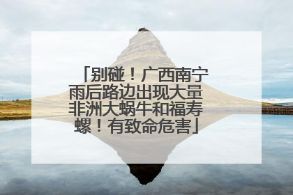 别碰！广西南宁雨后路边出现大量非洲大蜗牛和福寿螺！有致命危害