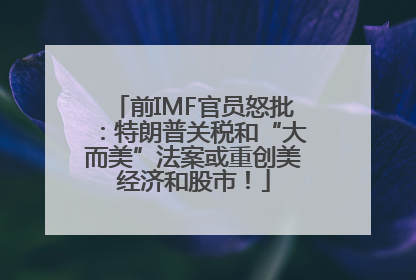 前IMF官员怒批：特朗普关税和“大而美”法案或重创美经济和股市！