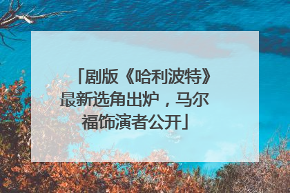剧版《哈利波特》最新选角出炉，马尔福饰演者公开