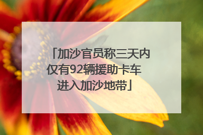 加沙官员称三天内仅有92辆援助卡车进入加沙地带