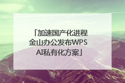 加速国产化进程 金山办公发布WPS AI私有化方案
