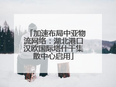 加速布局中亚物流网络：湖北港口汉欧国际塔什干集散中心启用