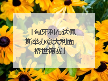 匈牙利布达佩斯举办意大利面桥世锦赛