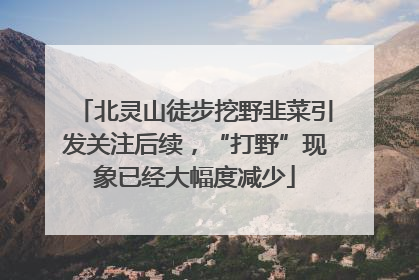 北灵山徒步挖野韭菜引发关注后续，“打野”现象已经大幅度减少
