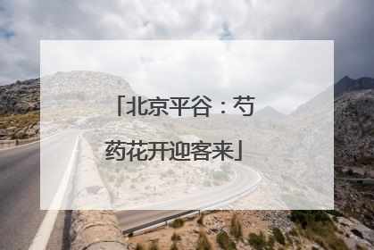 北京平谷：芍药花开迎客来