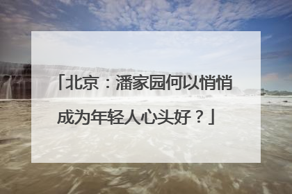 北京：潘家园何以悄悄成为年轻人心头好？