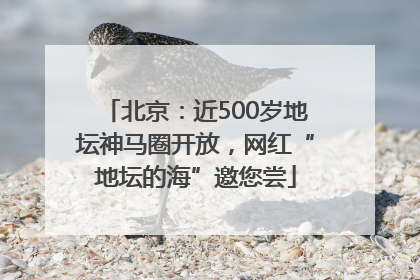 北京：近500岁地坛神马圈开放，网红“地坛的海”邀您尝