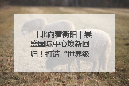 北向看衡阳｜崇盛国际中心焕新回归！打造“世界级美食主题公园”