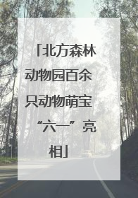 北方森林动物园百余只动物萌宝“六一”亮相
