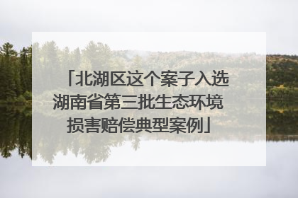北湖区这个案子入选湖南省第三批生态环境损害赔偿典型案例