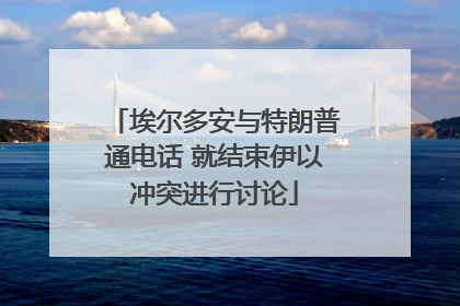 埃尔多安与特朗普通电话 就结束伊以冲突进行讨论