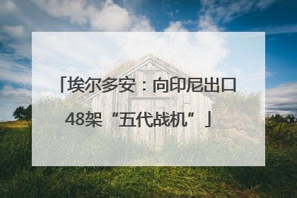 埃尔多安：向印尼出口48架“五代战机”