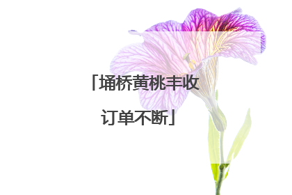 埇桥黄桃丰收 订单不断