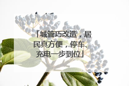 城管巧改造，居民真方便，停车、充电一步到位
