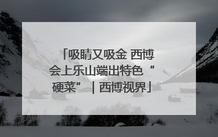吸睛又吸金 西博会上乐山端出特色“硬菜”｜西博视界