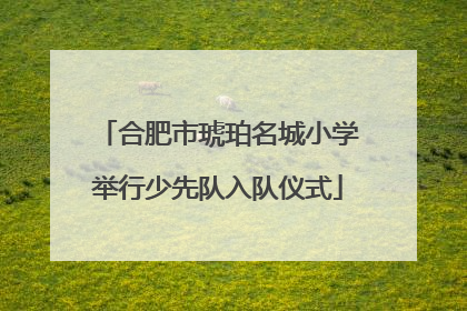 合肥市琥珀名城小学举行少先队入队仪式