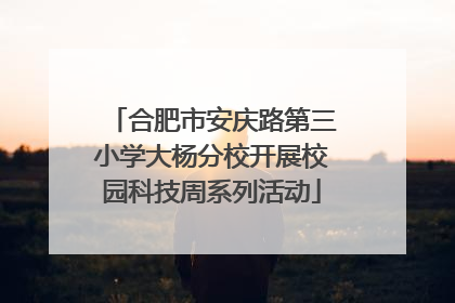 合肥市安庆路第三小学大杨分校开展校园科技周系列活动
