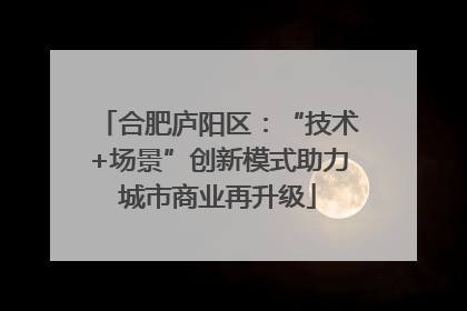 合肥庐阳区：“技术+场景”创新模式助力城市商业再升级