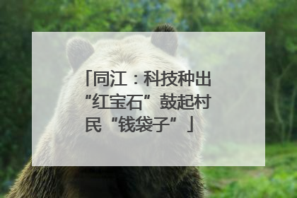 同江：科技种出“红宝石”鼓起村民“钱袋子”