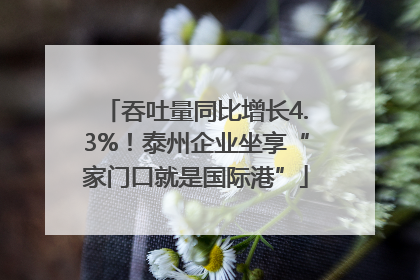 吞吐量同比增长4.3%！泰州企业坐享“家门口就是国际港”